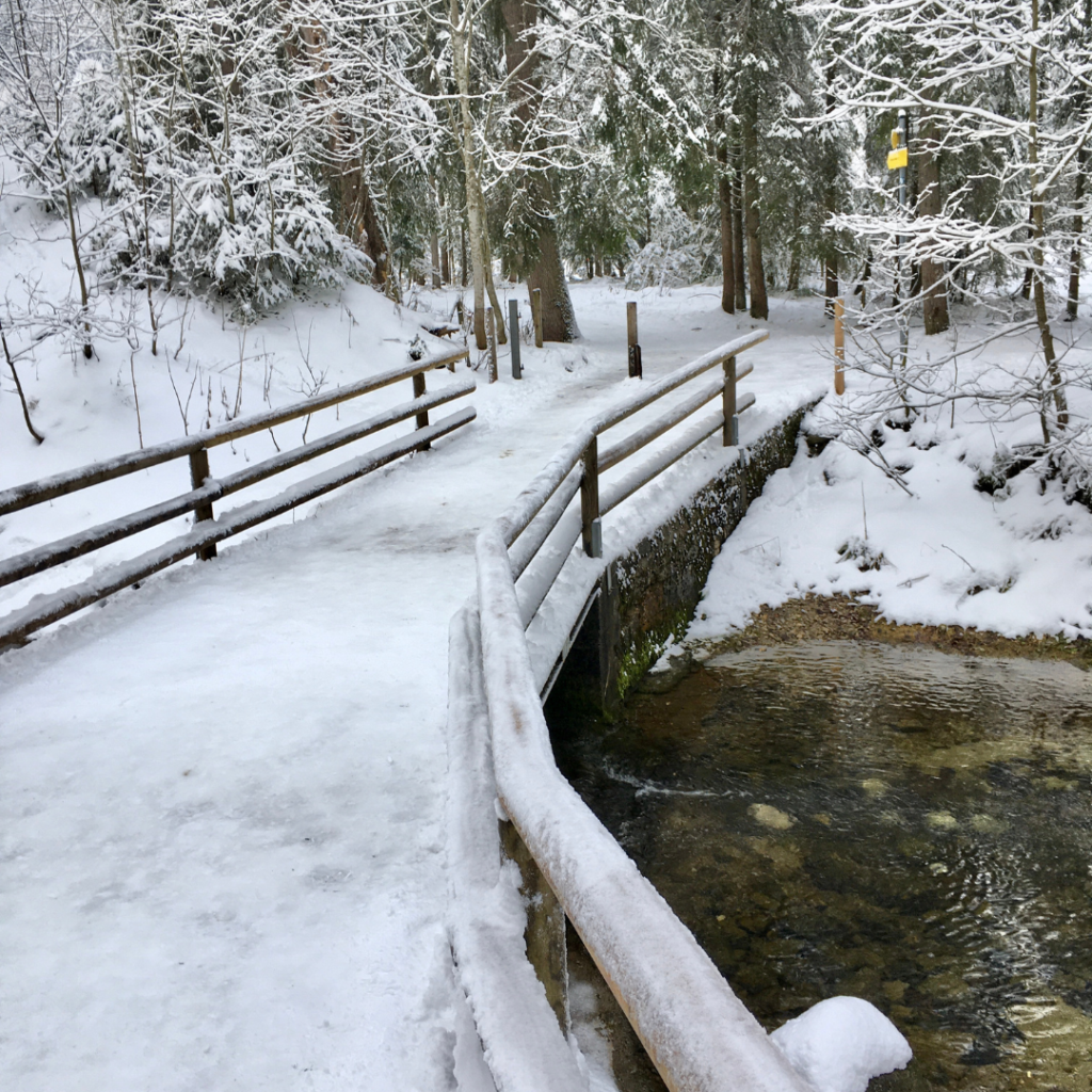 Eine verschneite Brücke im Wald.